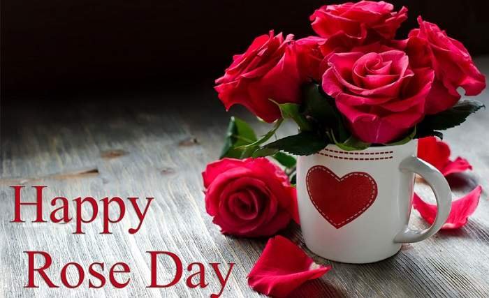 rose day 2023