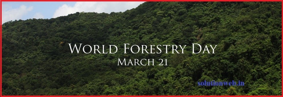 World Forestry Day World Forestry Day
