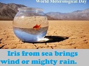 World Meteorological Day Quotes