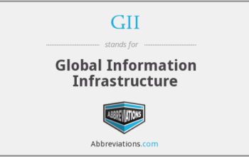 Internet as Global Information Infrastructure