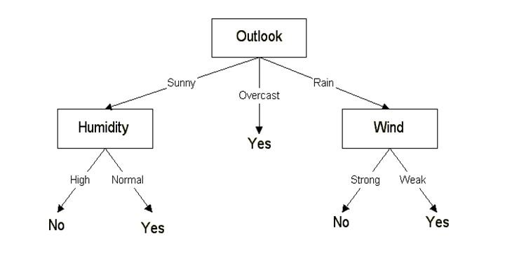 decision tree