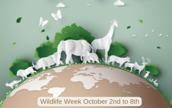 wildlife week in india