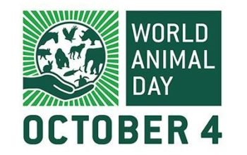 World Animal Day