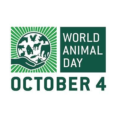 World Animal Day