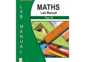 Maths Lab Manual Class 10