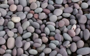 Buy Pebbles Online for Stylish Indoor and Outdoor Use
