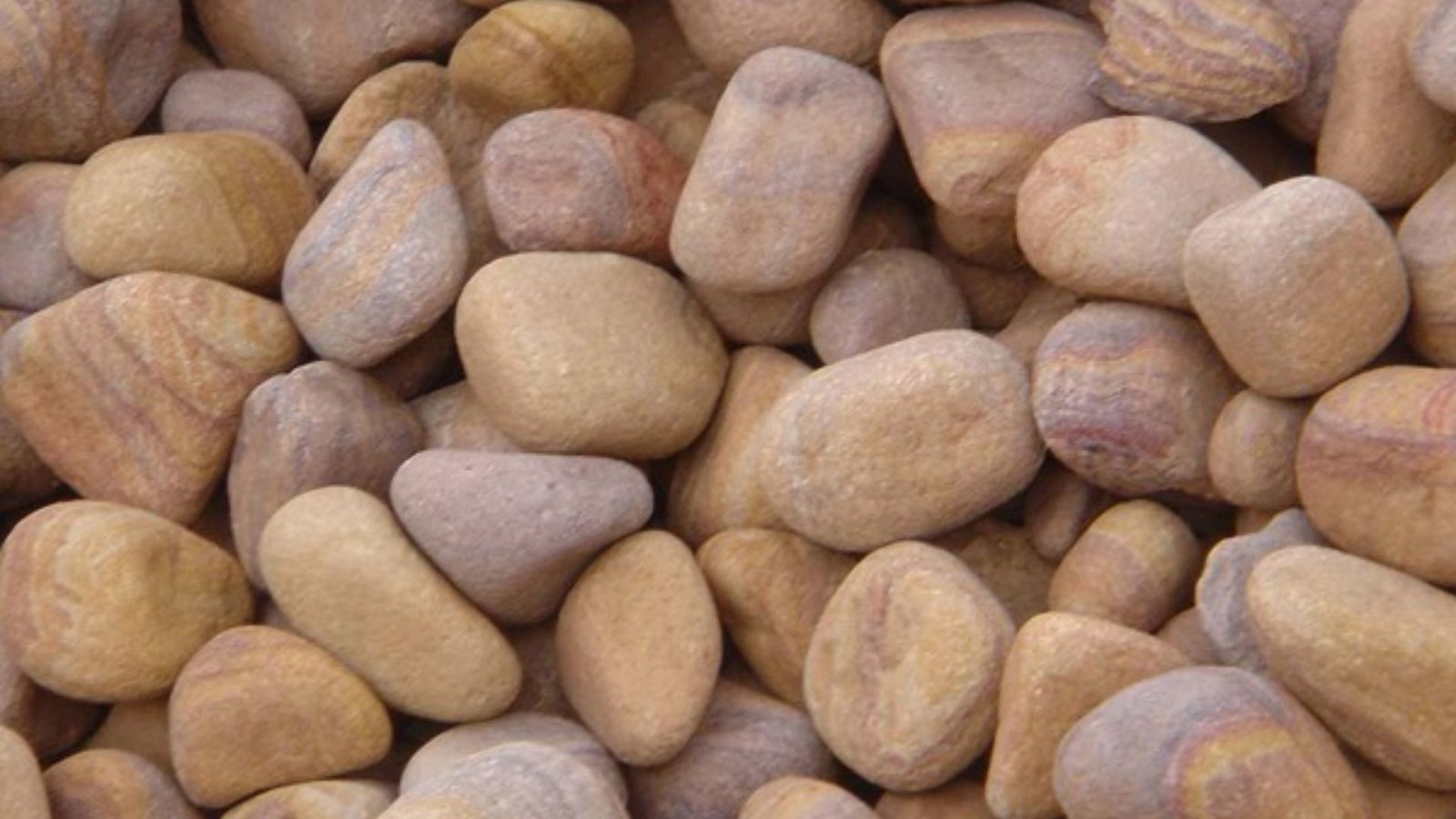 Buy Pebbles Online in Multiple Colors and Sizes